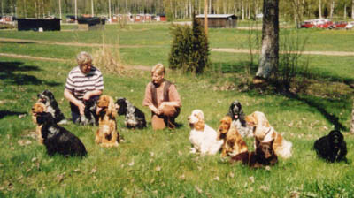 Cockerträff på Skutberget, början av 90-talet