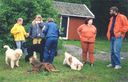 Handlerträning på Hammarö, 23 juni 1998